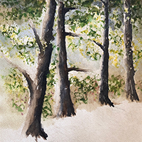 Watercolor painting of trees in the woods.